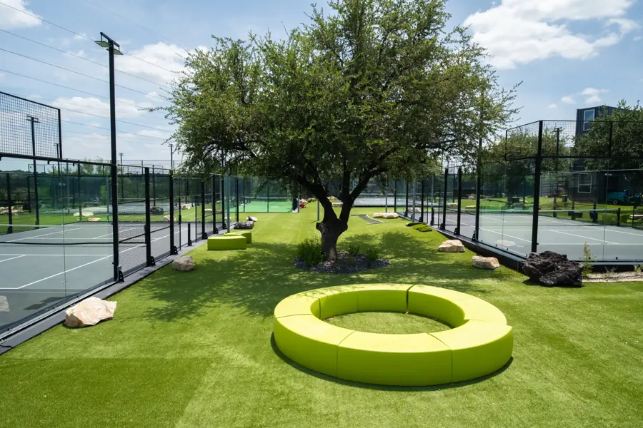 Glass-walled padel courts with a shade tree and lime-green bench